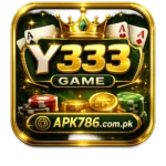 Y333 Game