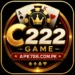 C222 Game